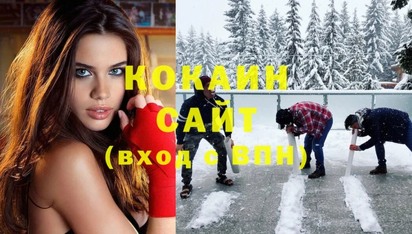 МДПВ Каменка